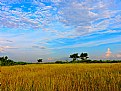 Picture Title - Sky and Cloud