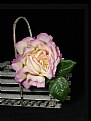 Picture Title - Rose in Wooden Basket