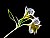 Electrified Peruvian Lily