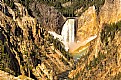 Picture Title - The Grand Canyon of Yellowstone