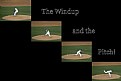 Picture Title - "The Windup & The Pitch"
