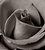 The Rose