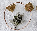 Picture Title - Turtle Necklace