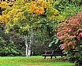 Picture Title - Fall picnic