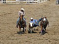 Picture Title - Steer Wrestling