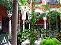 Andalusian patio in Seville. Patio andaluz en Sevilla.