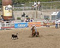 Picture Title - Calf Roping