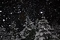 Picture Title - Snowflakes