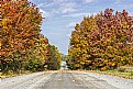 Picture Title - Autumn Road