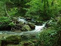 Picture Title - Anna Ruby Falls, Georgia