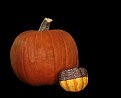 Picture Title - " A Pumpkin, Squash, Acorn?"