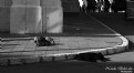 Picture Title - Street Sleepers