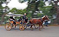 Picture Title - PANNING