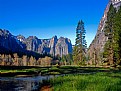 Picture Title - A quiet valley, Yosemite