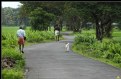 Picture Title - Morning from a village