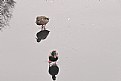 Picture Title - Walking on water