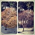 Picture Title - Fall & Winter