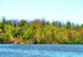 Picture Title - Sharon Creek Reservoir