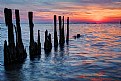 Nanticoke River Sunset