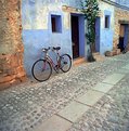 Picture Title - Blue house