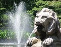 Picture Title - Lion Water Statue