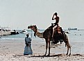 Picture Title - Camel ride in Aqaba.