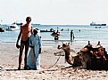 Picture Title - Camel ride in Aqaba.