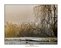 Picture Title - Winter Light