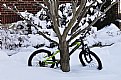 Picture Title - Bicycle in Snow