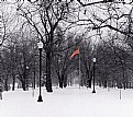 Picture Title - flag in winter