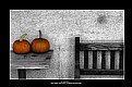 Picture Title - Autumn Still