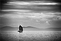 Picture Title - Sailboat