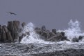 Picture Title - Rough Seas