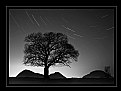 Picture Title - Eildon Hills