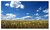 The Big Sky