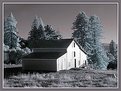 Picture Title - Red Barn  Infrared