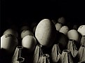 Picture Title - big egg