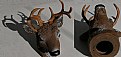 Picture Title - Deer Head Ball Hitch