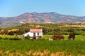 Picture Title - Andalusian House.