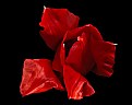 Picture Title - red tulip vortex 
