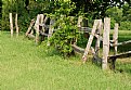 Picture Title - Wooden Fence