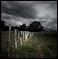 Picture Title - The Fence