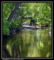 Picture Title - Green stream