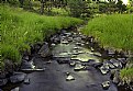 Mountain stream