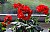 Flowers in a Balcony