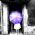 Picture Title - The purple umbrella 