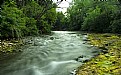 Picture Title - Near the river