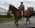 Picture Title - Suicide Rider