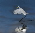 Picture Title - Dancing on Water