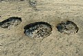 Picture Title - Burnt Holes